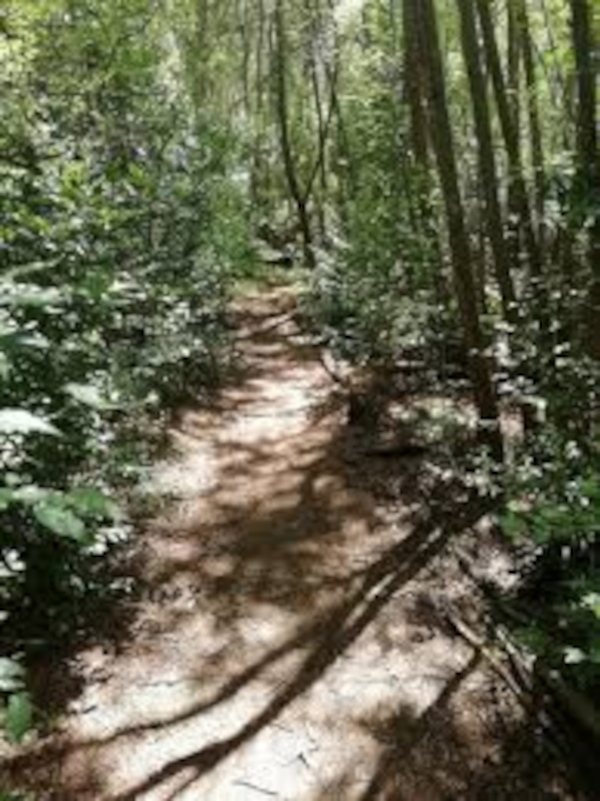 CapacityToLearn_Grow_600-800